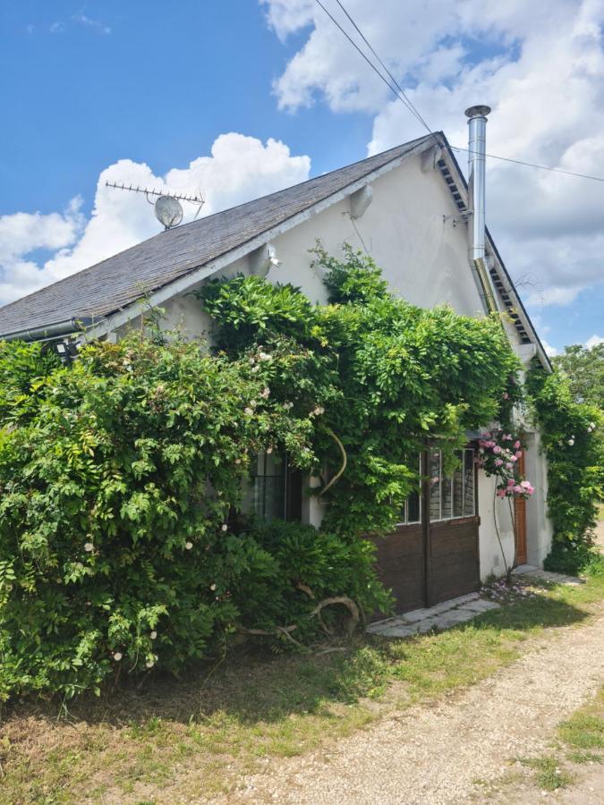 "Gite Les Glycines" Linge Inclus Proche Centre-Ville บลัวส์ ภายนอก รูปภาพ